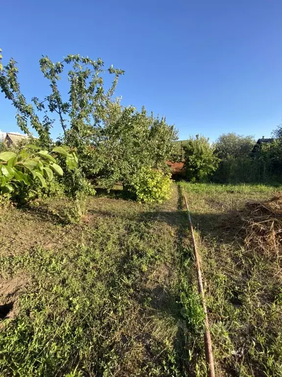 Участок в Саратовская область, Энгельс муниципальное образование, ... - Фото 2