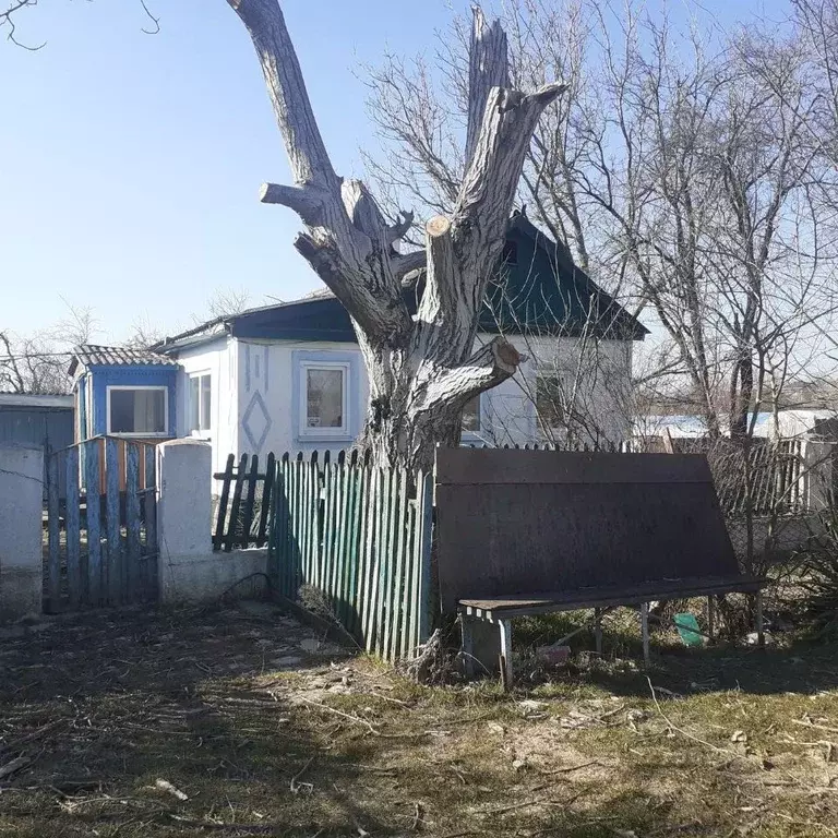 Участок в Краснодарский край, Анапа муниципальный округ, Гостагаевская ... - Фото 1