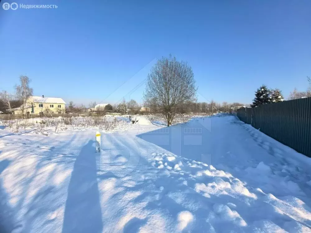 Участок в Московская область, Раменский муниципальный округ, село ... - Фото 1