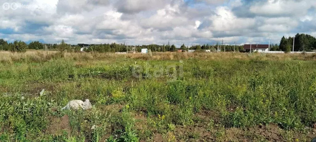 Участок в Черепановский район, Карасевский сельсовет (6.21 м) - Фото 0