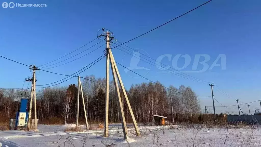 Участок в Тюменская область, Ялуторовский муниципальный округ, ... - Фото 2