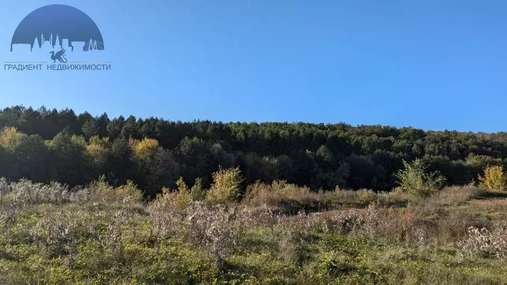 Участок в Татарстан, Лаишевский район, Егорьевское с/пос, д. Зимняя ... - Фото 0