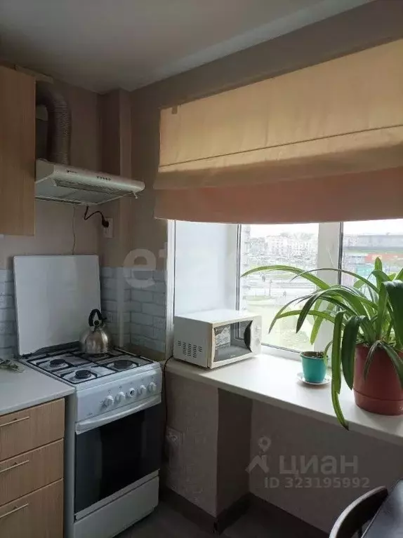 1-к кв. Вологодская область, Череповец ул. Сталеваров, 68 (31.2 м) - Фото 2