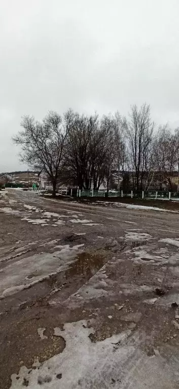 Торговая площадь в Саратовская область, с. Поповка ул. Школьная, 32А ... - Фото 1