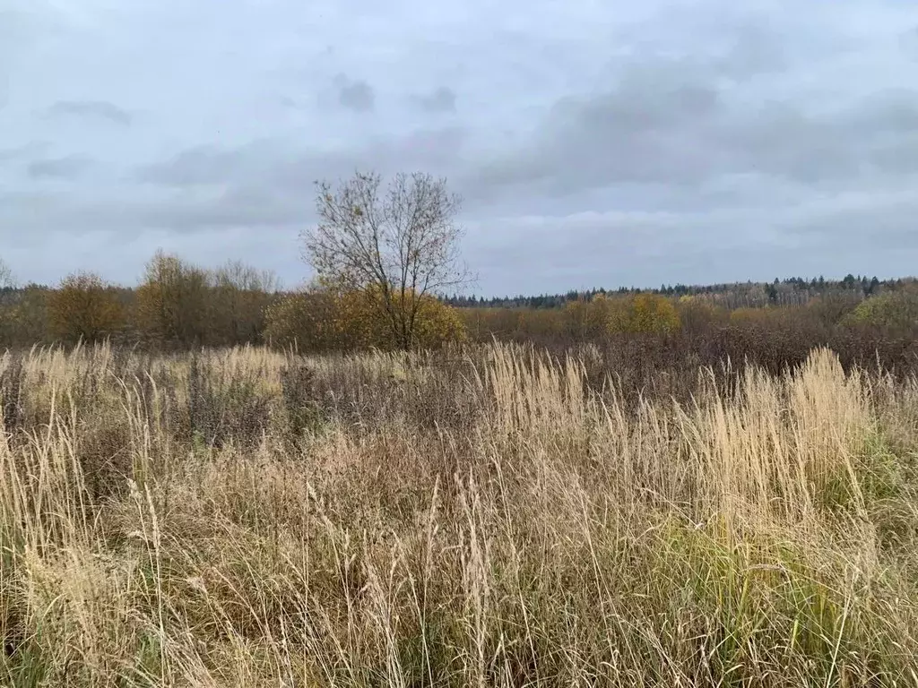 Участок в Московская область, Истра ул. Ленина, Река Истра (15.0 сот.) - Фото 1