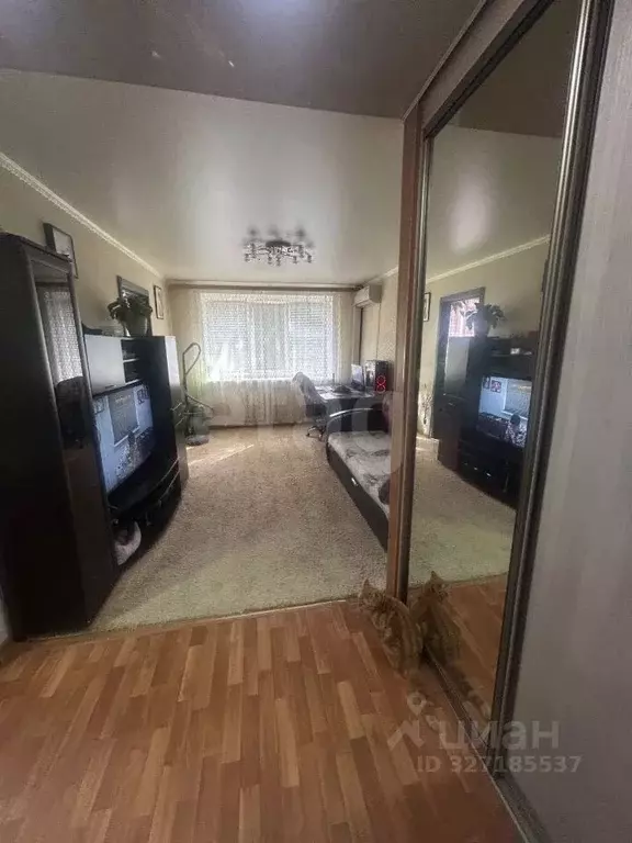 2-к кв. Саратовская область, Балашов Нефтяная ул., 56 (38.7 м) - Фото 1