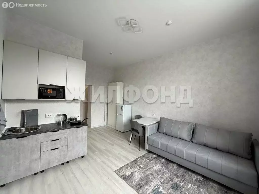 Квартира-студия: Новосибирск, улица Богдана Хмельницкого, 96/3 (25 м) - Фото 1