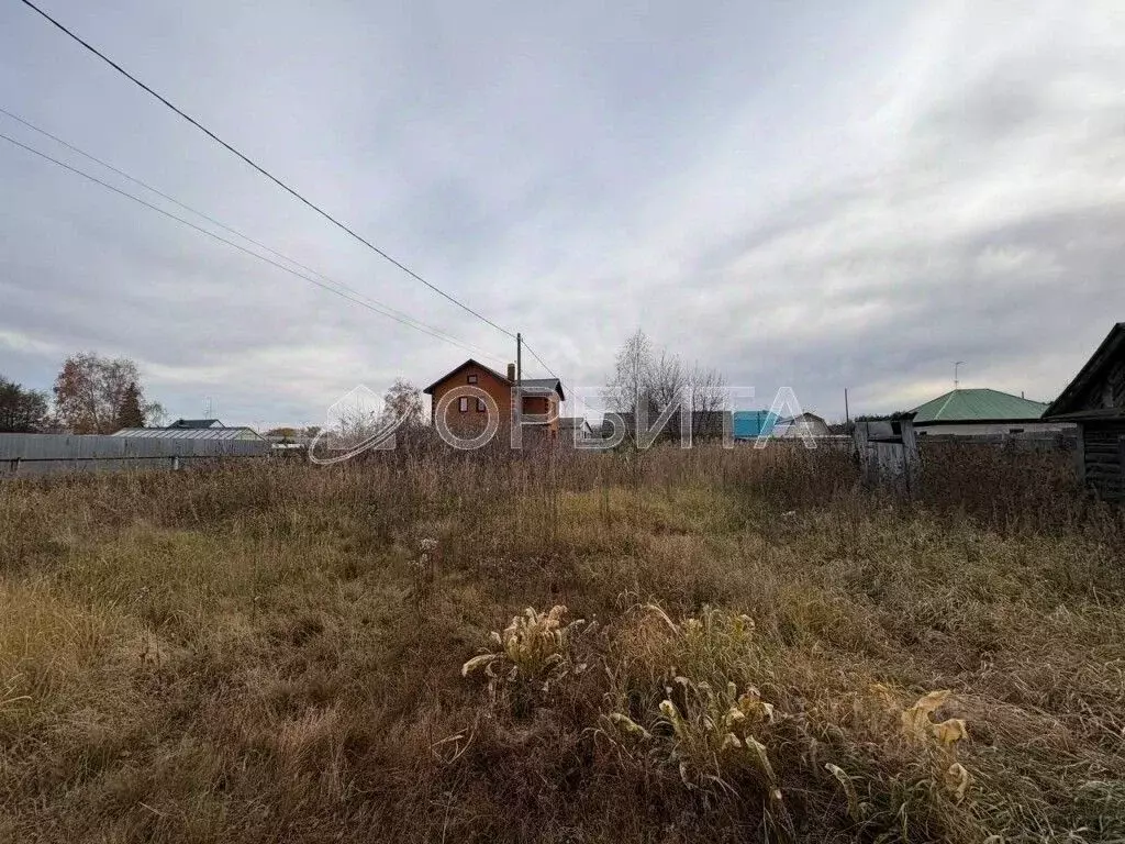 Участок в Тюменская область, Тюменский муниципальный округ, Боровский ... - Фото 2