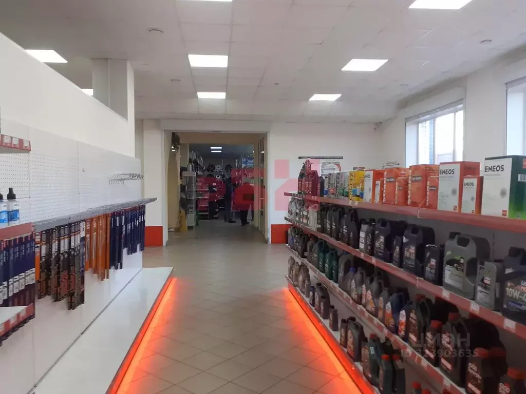 Торговая площадь в Пензенская область, Пенза просп. Победы (100 м) - Фото 1