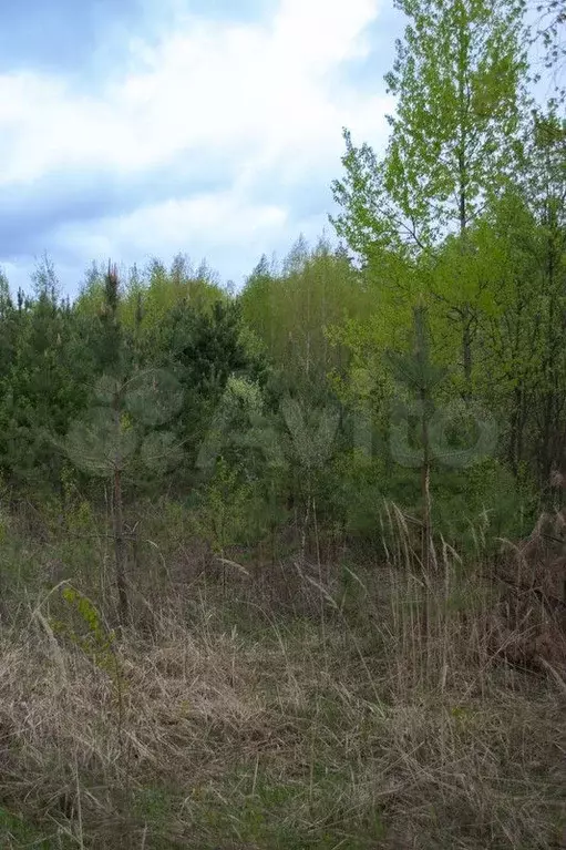 Участок 10 сот. (ИЖС) - Фото 1