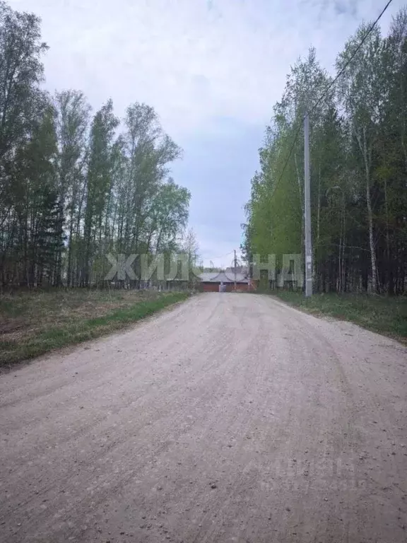 Участок в Новосибирская область, Новосибирский район, Кудряшовский ... - Фото 0