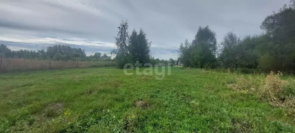 Участок в Воронежская область, Новоусманский район, Хреновское с/пос, ... - Фото 1