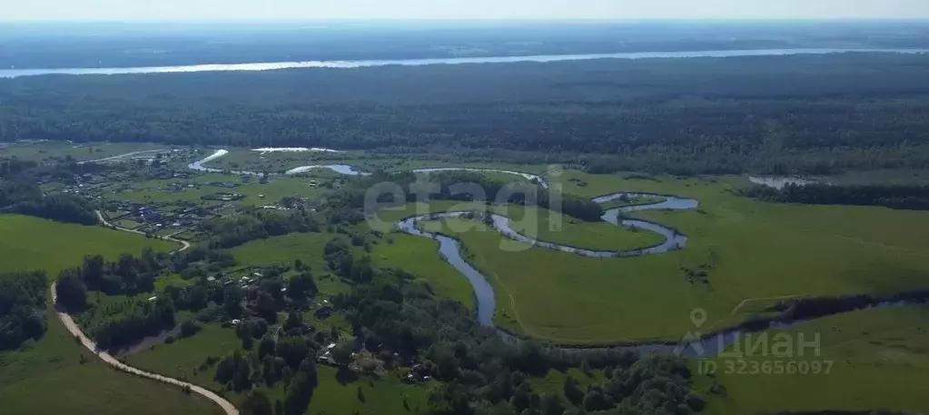 Участок в Костромская область, Красносельский район, Шолоховское ... - Фото 1