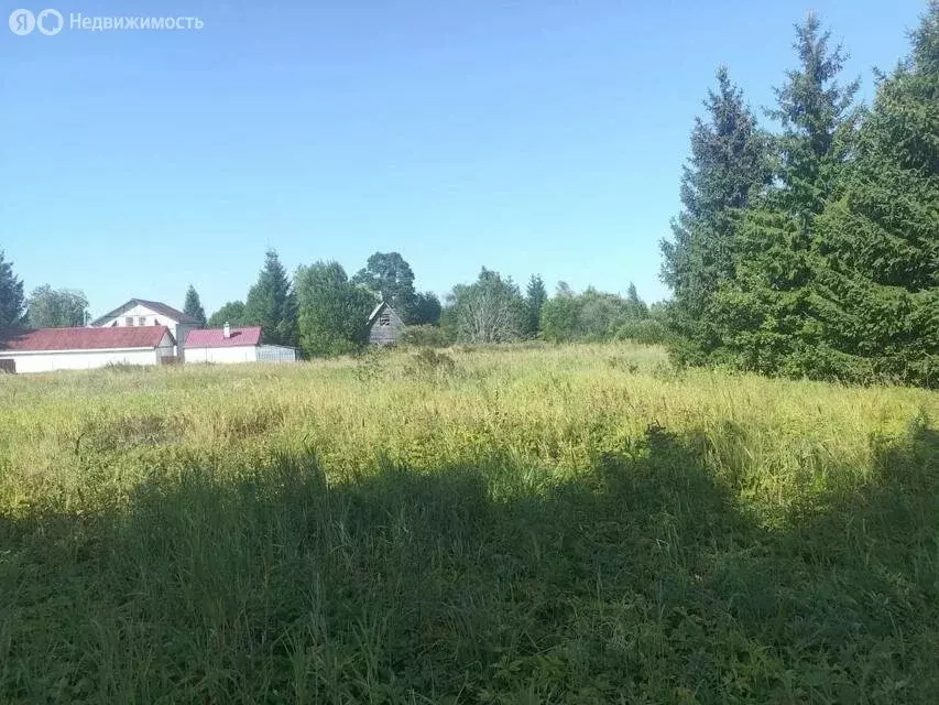 Участок в Рабитицкое сельское поселение, деревня Сосницы (25 м) - Фото 2