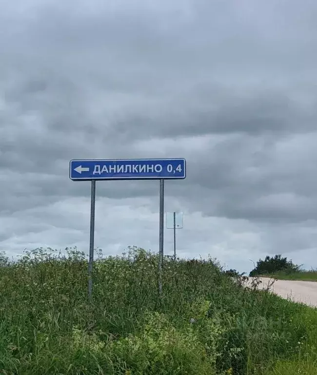 Дом в Псковская область, Палкинская волость, д. Данилкино  (50 м) - Фото 0