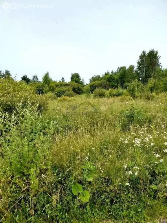 Участок в Старая Русса, Береговая улица, 2 (12 м) - Фото 2