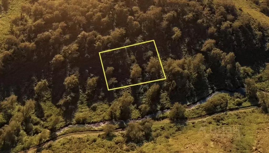 Участок в Алтай, Чемальский район, Куюсское с/пос  (11.3 сот.) - Фото 2