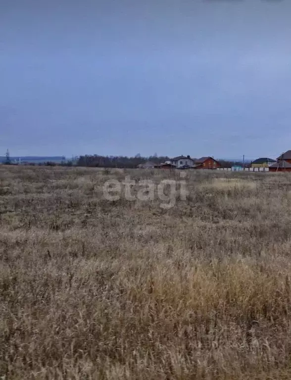 Участок в Белгородская область, Строитель Яковлевский городской округ, ... - Фото 1