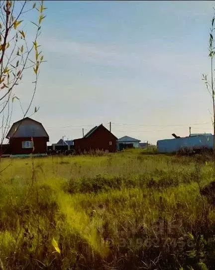 Участок в Московская область, Ступино городской округ, д. ... - Фото 1