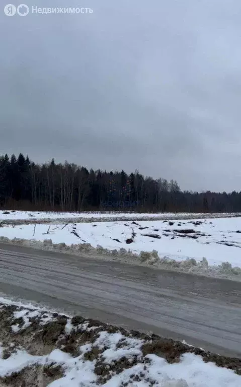 Участок в Московская область, городской округ Домодедово, деревня ... - Фото 1