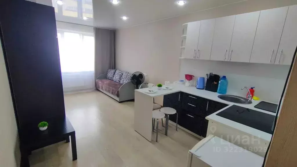 Студия Кировская область, Киров Заводская ул., 4 (23.0 м) - Фото 2