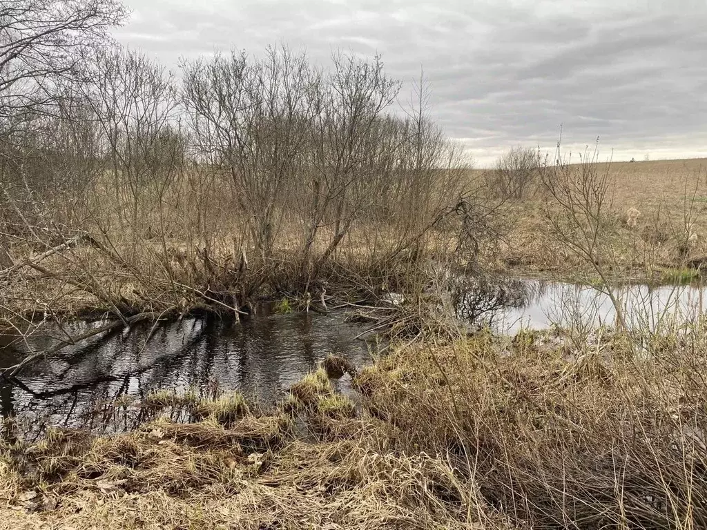 Участок в Псковская область, Пушкиногорье городское поселение, д. ... - Фото 1
