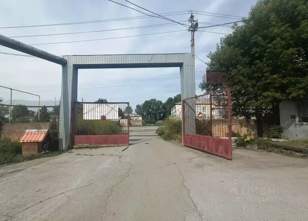 Производственное помещение в Новосибирская область, Черепаново ул. ... - Фото 2