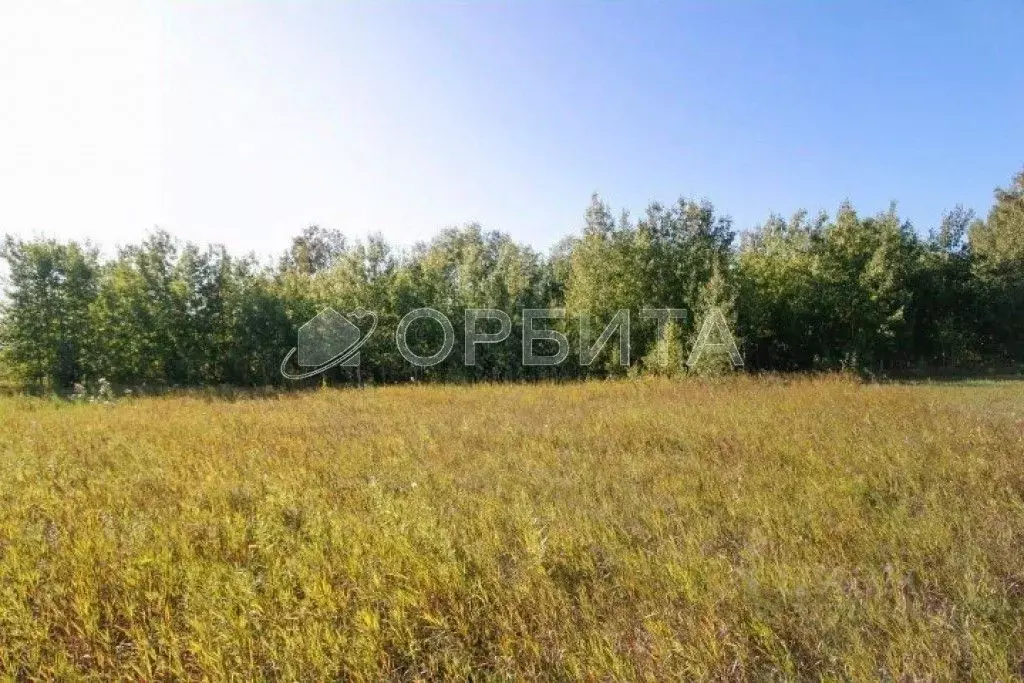 Участок в Тюменская область, Тюменский район, с. Луговое  (8.0 сот.) - Фото 0