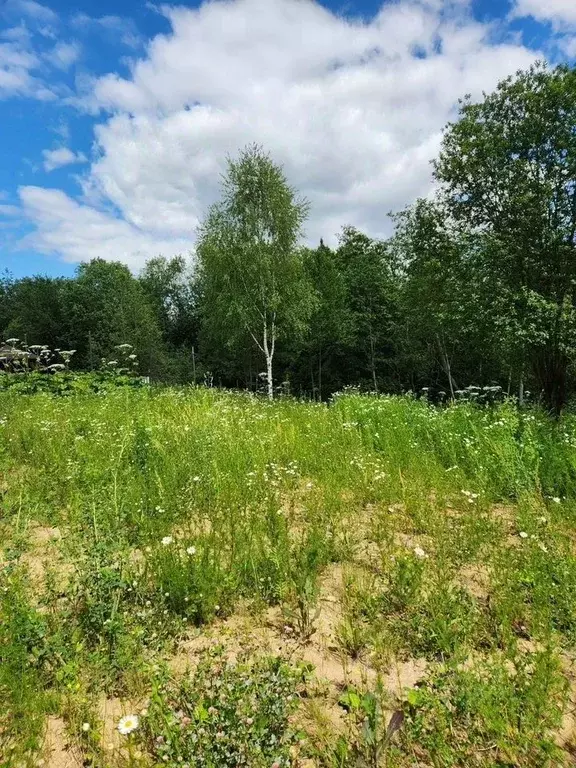 Участок в Московская область, Воскресенск городской округ, с. Федино  ... - Фото 1