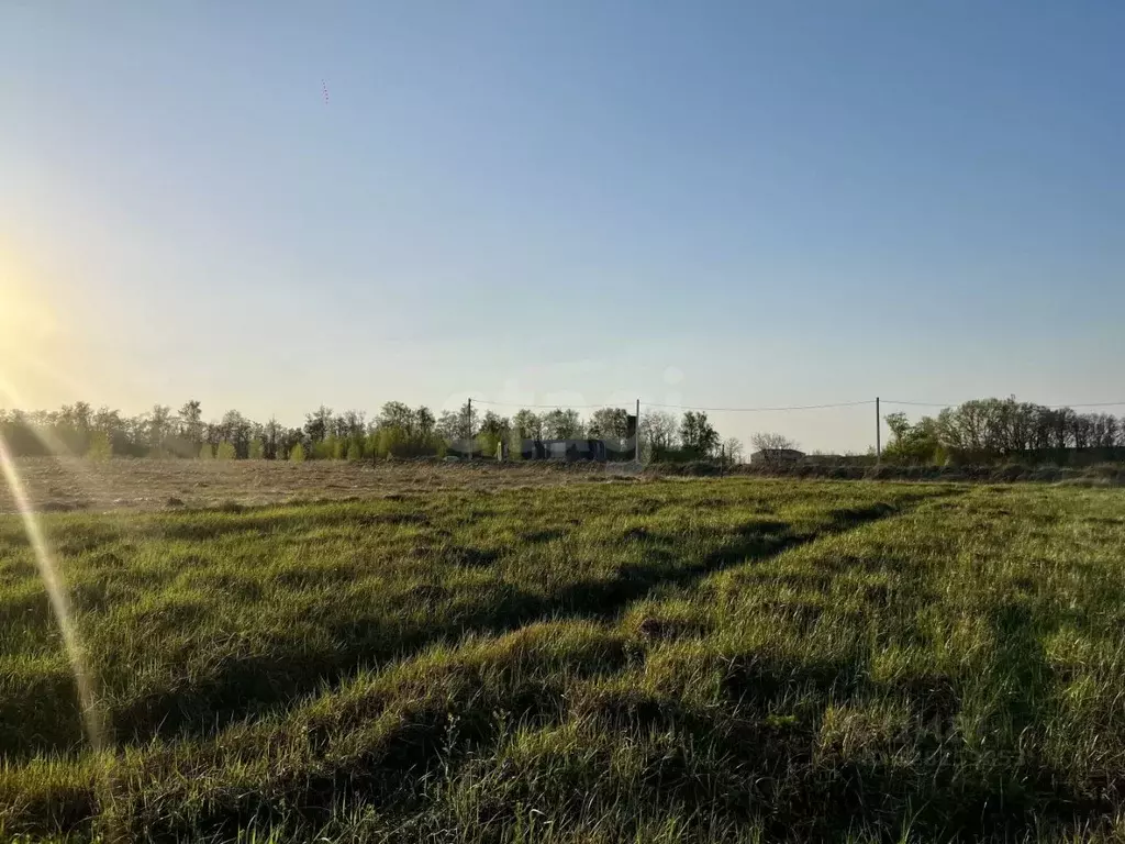 Участок в Курская область, Курск ул. Комдива Высоцкого (10.0 сот.) - Фото 2