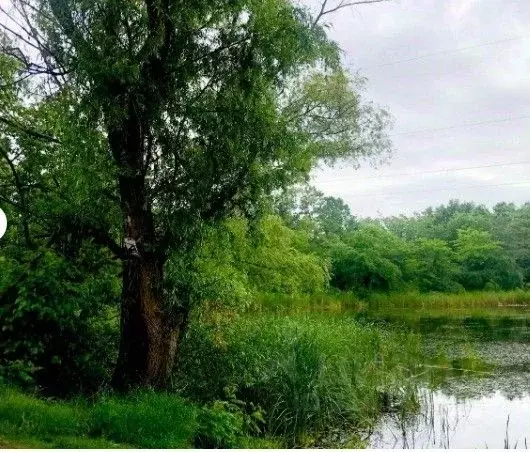 Участок в Краснодарский край, Северское с/пос, Бончковский хут. ул. ... - Фото 1