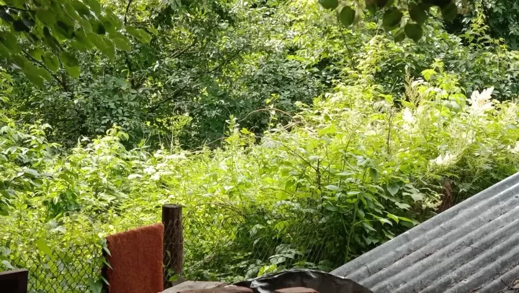 Участок в Костромская область, Кострома ул. Ленина, 53 (8.15 сот.) - Фото 2