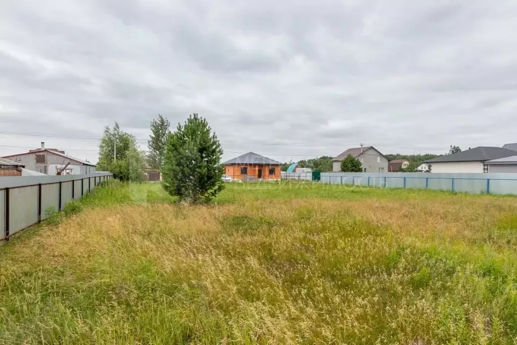 Участок в Тюменская область, Тюменский муниципальный округ, с. Чикча, ... - Фото 1