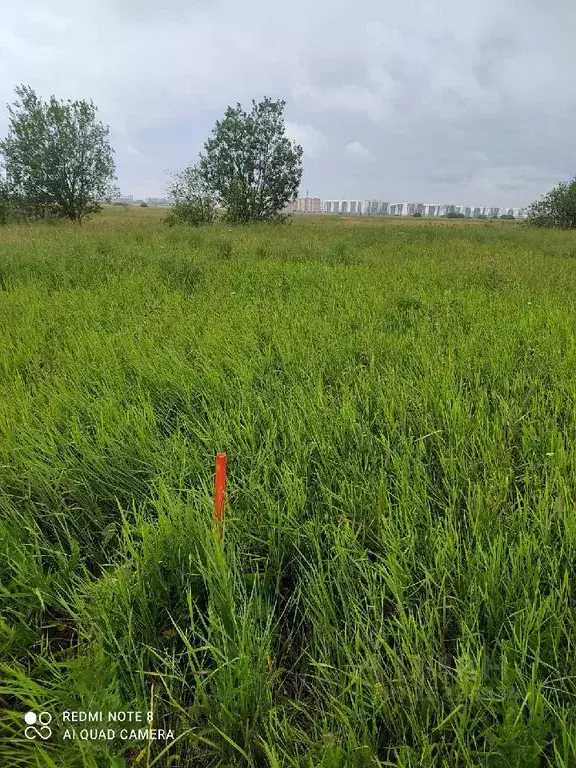 Участок в Новгородская область, Новгородский район, Савинское с/пос, ... - Фото 0