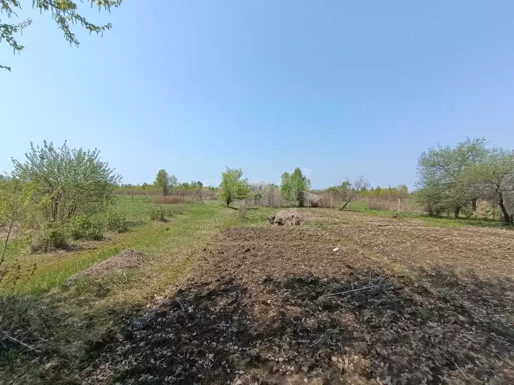 Участок в Приморский край, Артем Ольха садовое товарищество,  (10.0 ... - Фото 1