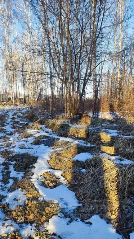 Участок в Челябинская область, Сосновский муниципальный округ, с. ... - Фото 0
