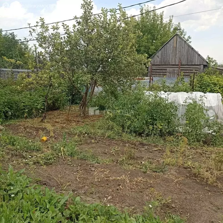 Дом в Барнаул, СНТ Трансмаш, 86 (60 м) - Фото 1