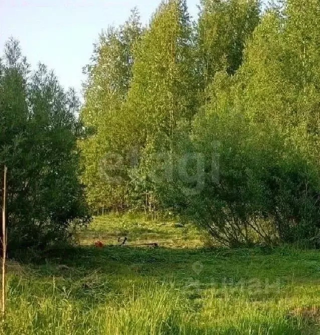 Участок в Томская область, Томский район, д. Новомихайловка, Кедры ДНП ... - Фото 1