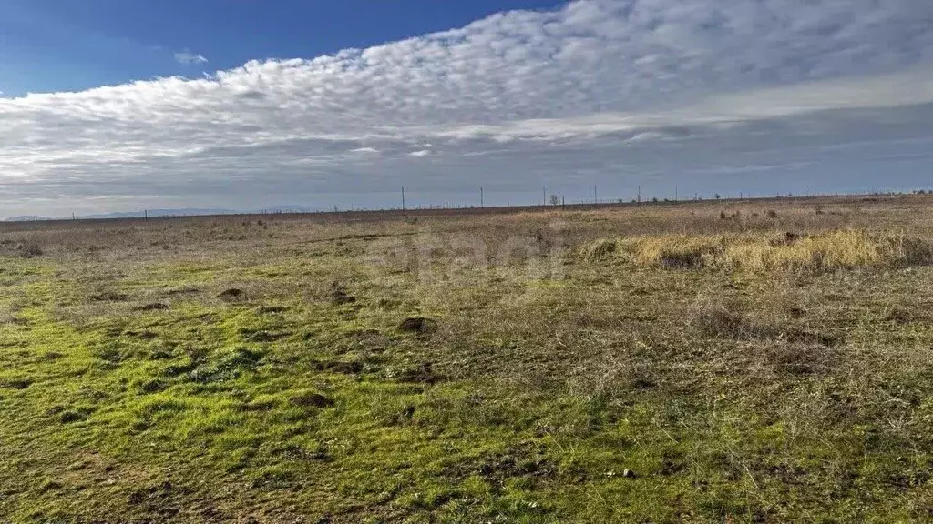 Участок в Крым, Ленинский район, Семисотское с/пос, Ак-Монай ТСН  (6.0 ... - Фото 1