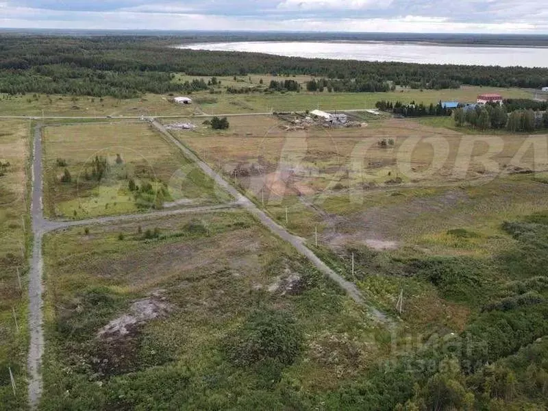 Участок в Тюменская область, Нижнетавдинский район, д. Штакульская ... - Фото 1