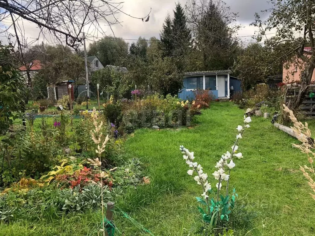 Дом в Калининградская область, Калининград Сад-3 СНТ, ул. Цветочная ... - Фото 2