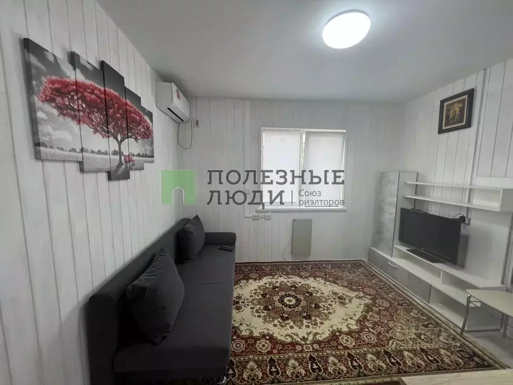 Студия Севастополь ул. Василия Колодкина, 98 (24.0 м) - Фото 2
