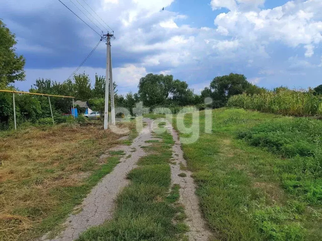 Участок в Белгородская область, Алексеевский муниципальный округ, с. ... - Фото 0