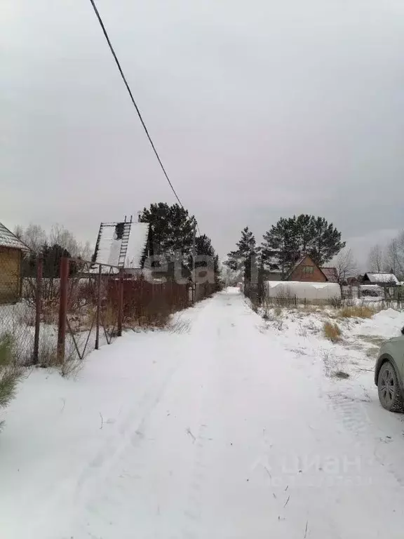 Дом в Новосибирская область, Колыванский район, Приобье СНТ, 16-й кв-л ... - Фото 1