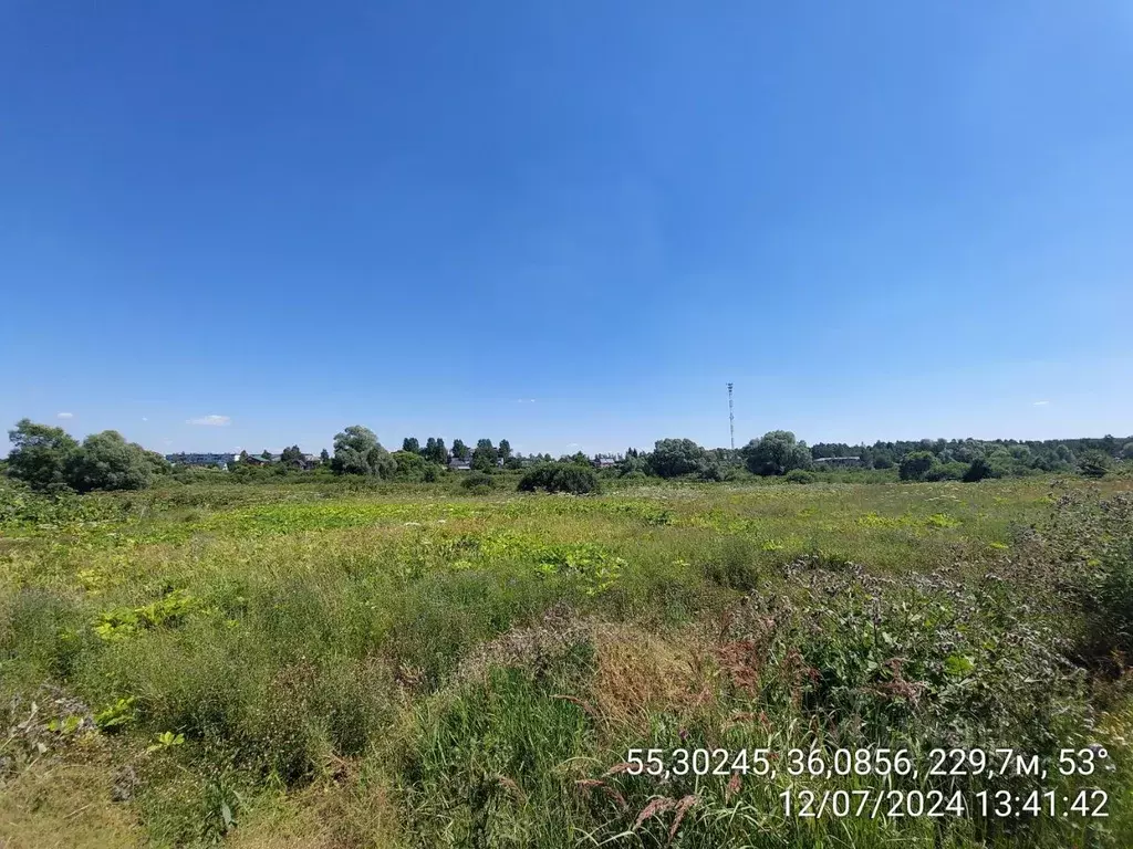 Участок в Московская область, Наро-Фоминский городской округ, д. ... - Фото 1