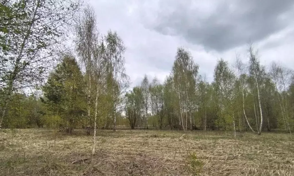 Участок в Московская область, Дмитровский муниципальный округ, д. ... - Фото 1