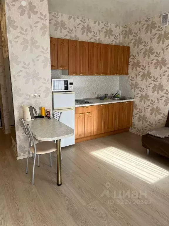 Студия Свердловская область, Екатеринбург ул. Белинского, 30 (26.0 м) - Фото 2