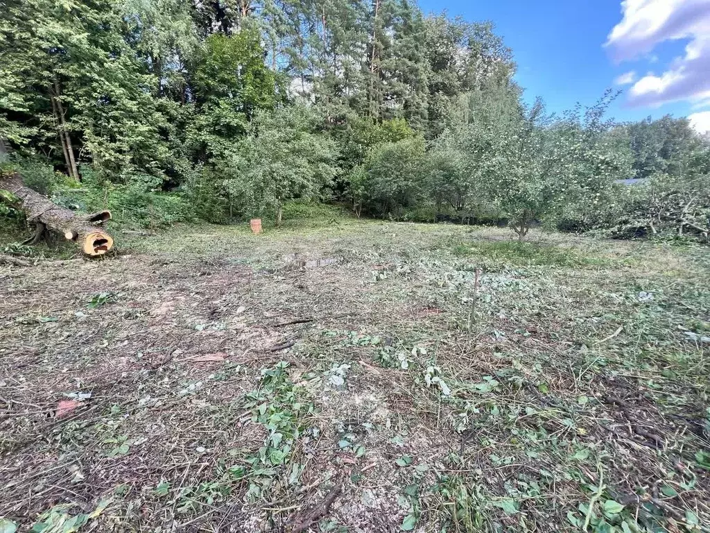 Участок в Москва д. Лапшинка, 135 (6.58 сот.) - Фото 2