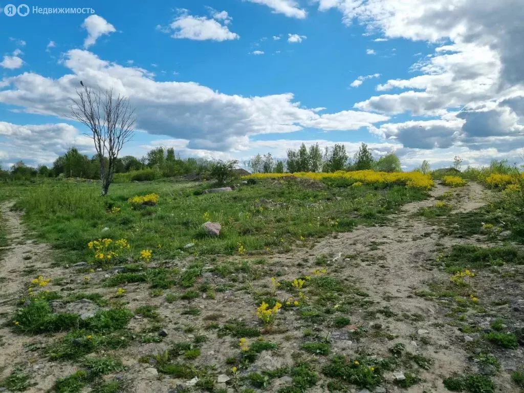 Участок в Красное Село, Красногородская улица (12 м) - Фото 1