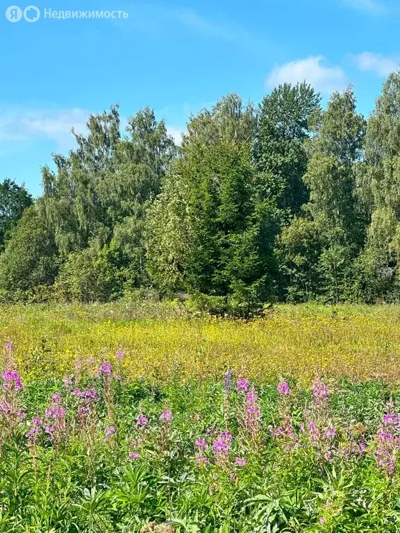 Участок в Московская область, городской округ Клин, деревня Никольское ... - Фото 1